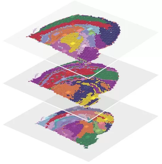 Spatial Multi-Omics Integration